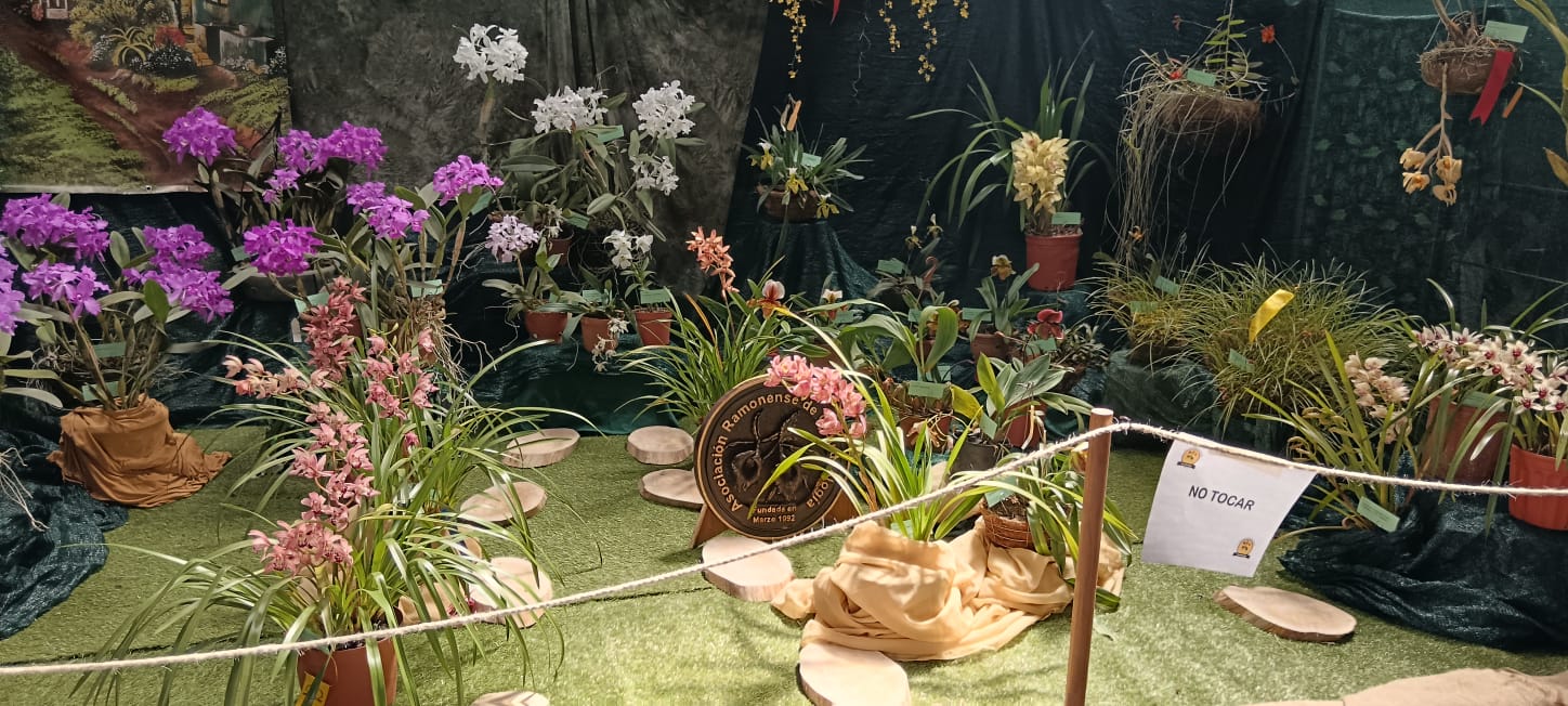 Durante este fin de semana lléguese a la II Exposición de Orquídeas Santa Ana 2025