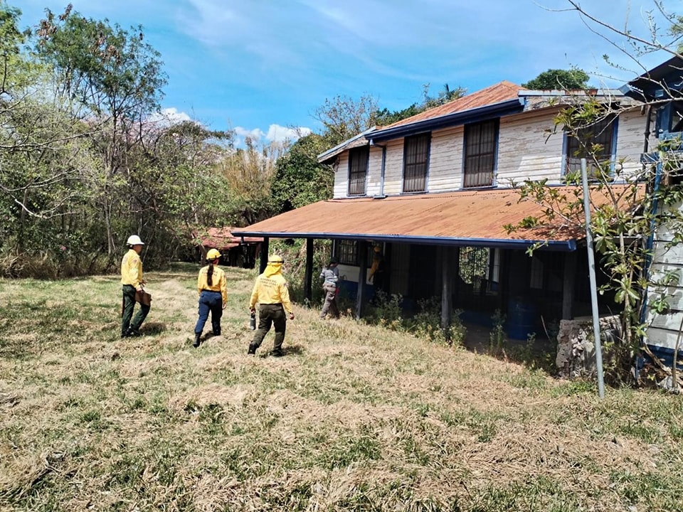 MINAE refuerza protección contra incendios forestales en el Parque Lorne Ross sector sur