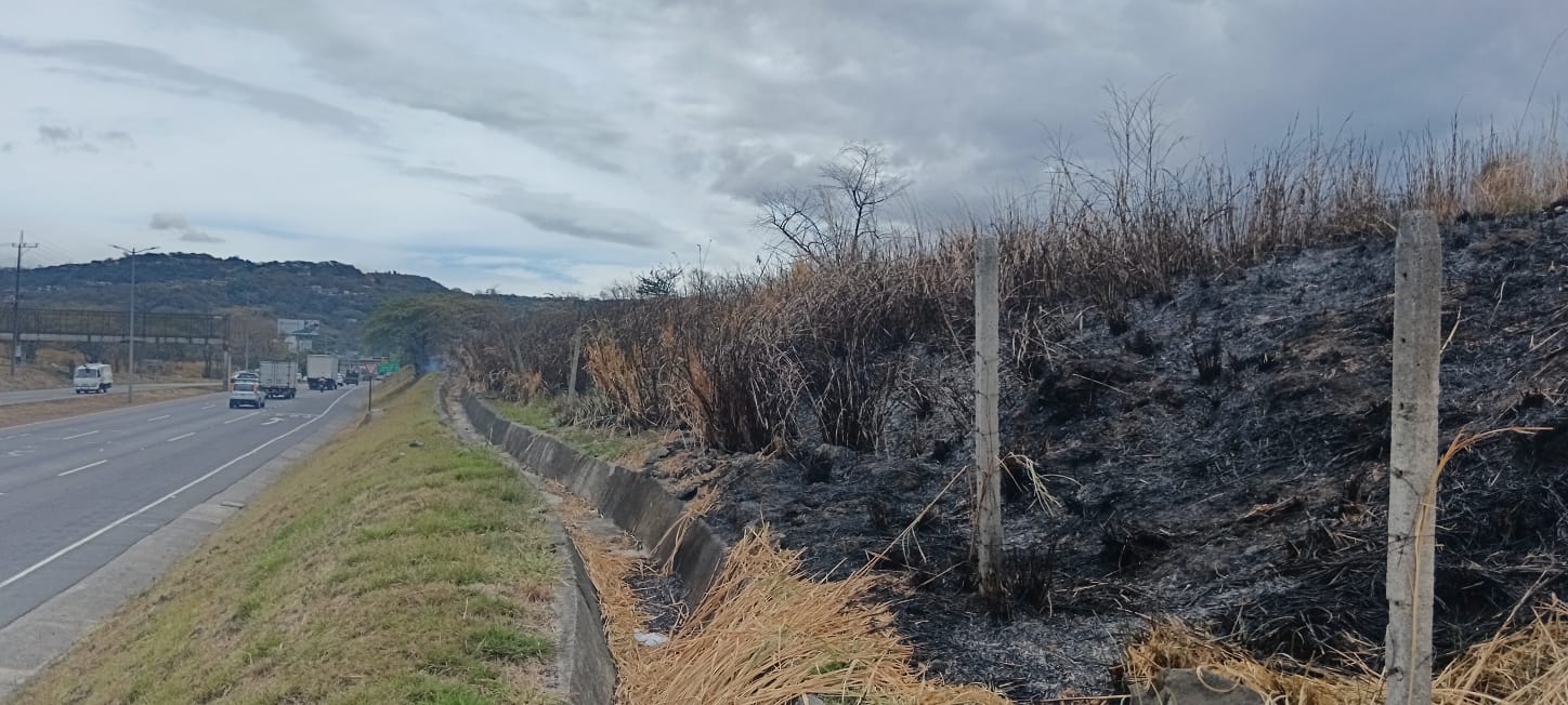 Incendio forestal en el Parque Lorne Ross sería provocado según el SINAC