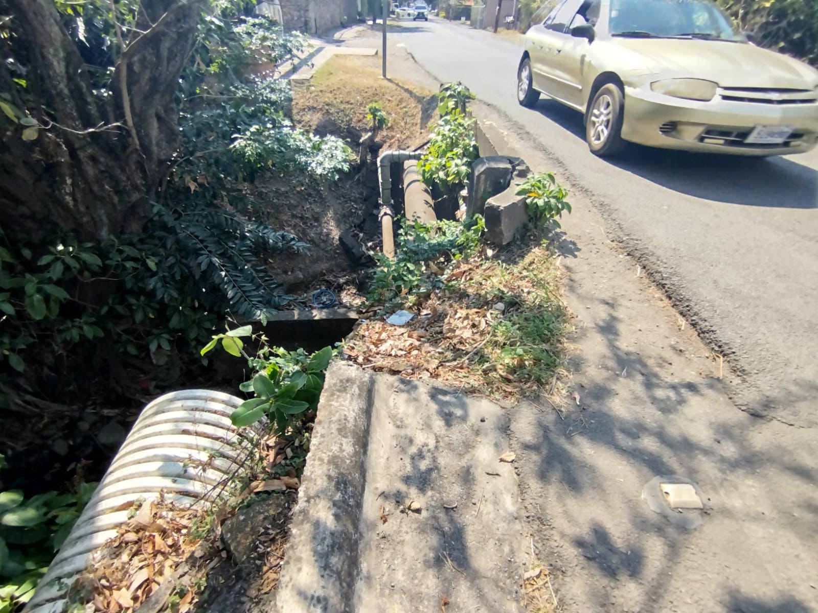 Puentes de un carril en el casco central muestran deterioro por falta de mantenimiento