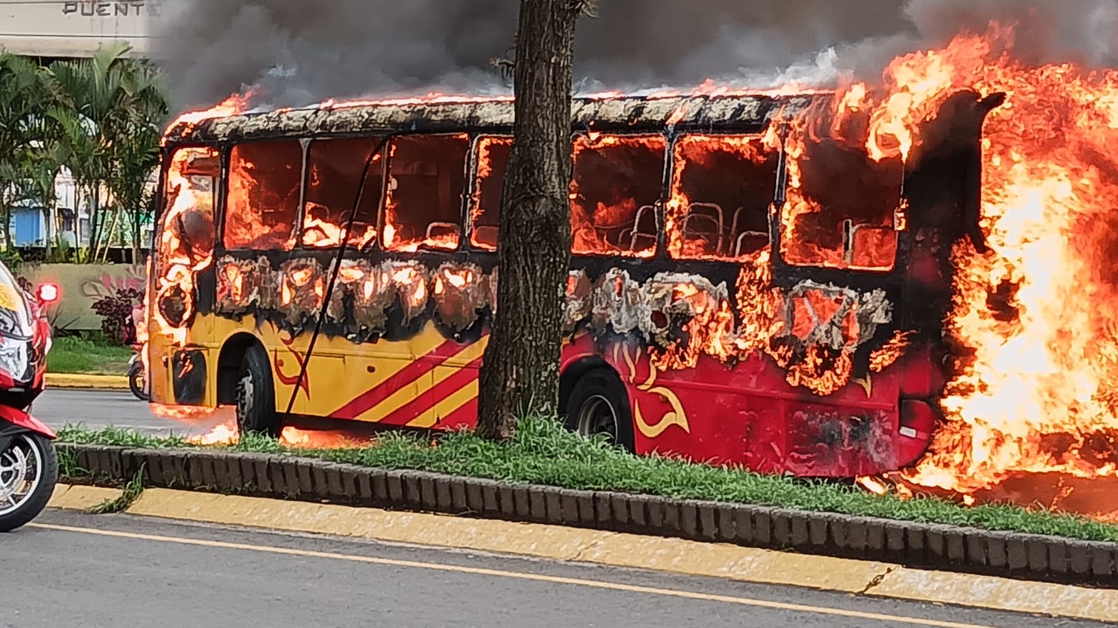Aresep: 46% de buses incendiados en el país durante el 2024 ya no debían circular por antigüedad