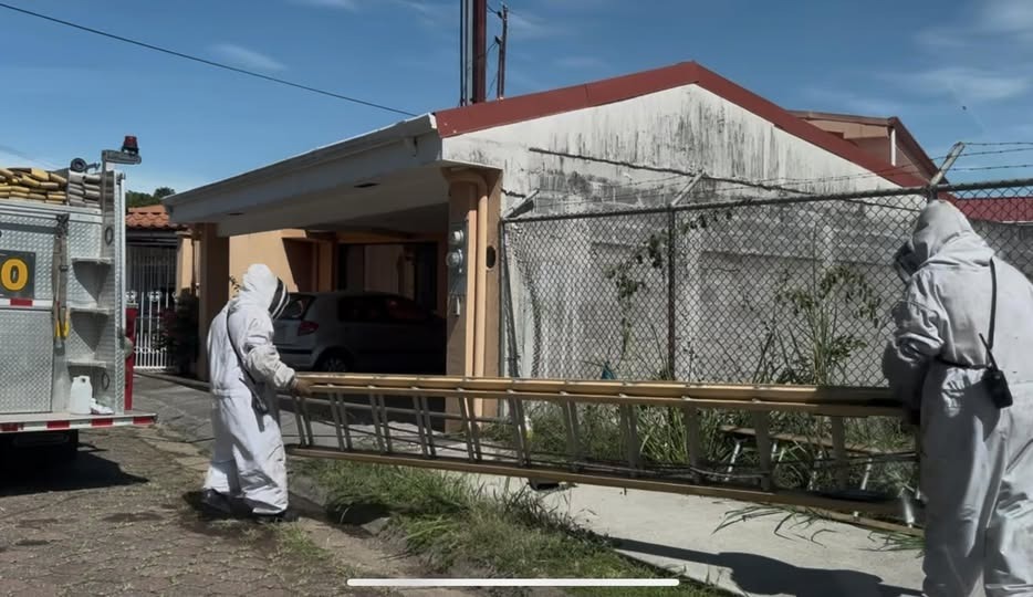 Adulto mayor fallece tras ataque de abejas en Salitral