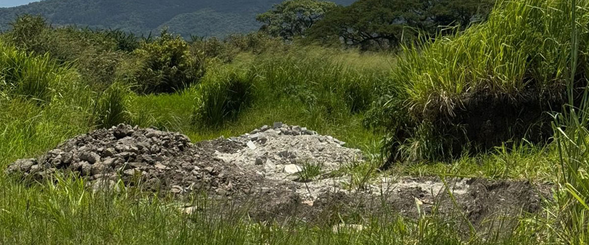 Denuncian botadero clandestino en zona de conservación del Parque Lorne Ross