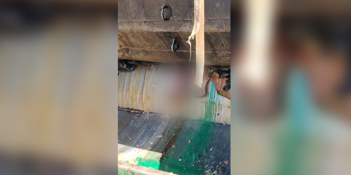 Adolescente de 17 años sería la madre del bebé encontrado sin vida en camión de basura en Limón