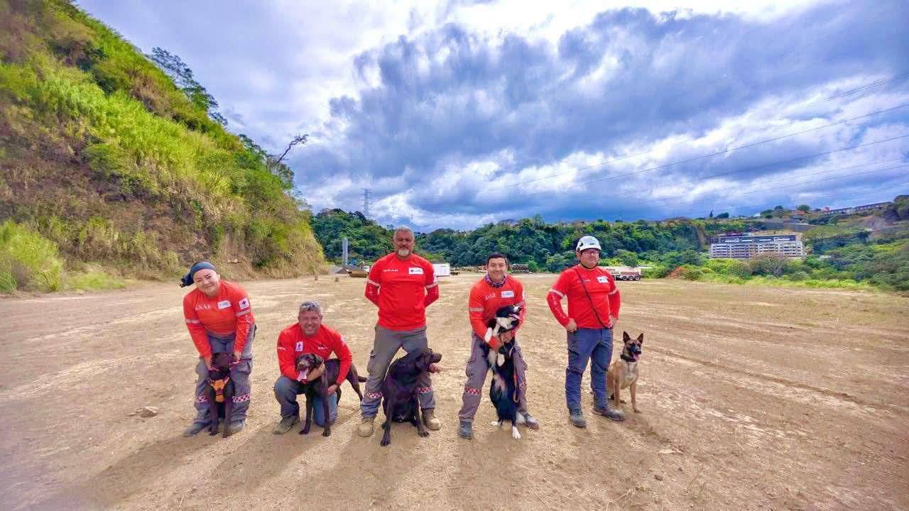 Perros que salvan vidas: homenaje a los héroes de cuatro patas