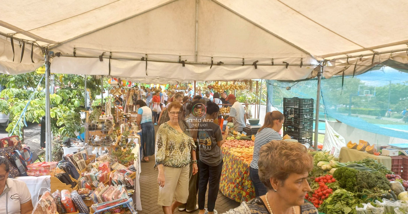 Mercado de Abasto Solidario celebra cuatro años impulsando la economía y emprendedores locales
